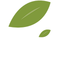 Site Logo: Twig Interactive